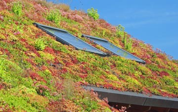 Sheepdrove living roof systems